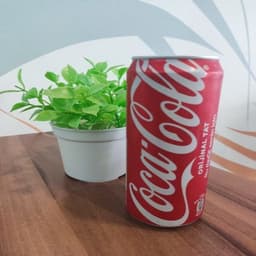Coca Cola Kutu
