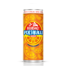 Uludağ Portakallı Gazoz