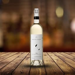 Sauvignon Blanc