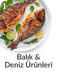 Balık & Deniz Ürünleri