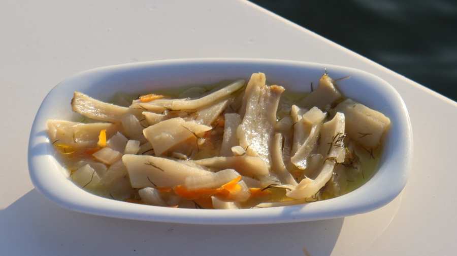Sevketi Bostan